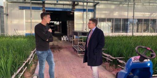 De koppeling tussen Onderwijs en Arbeidsmarkt