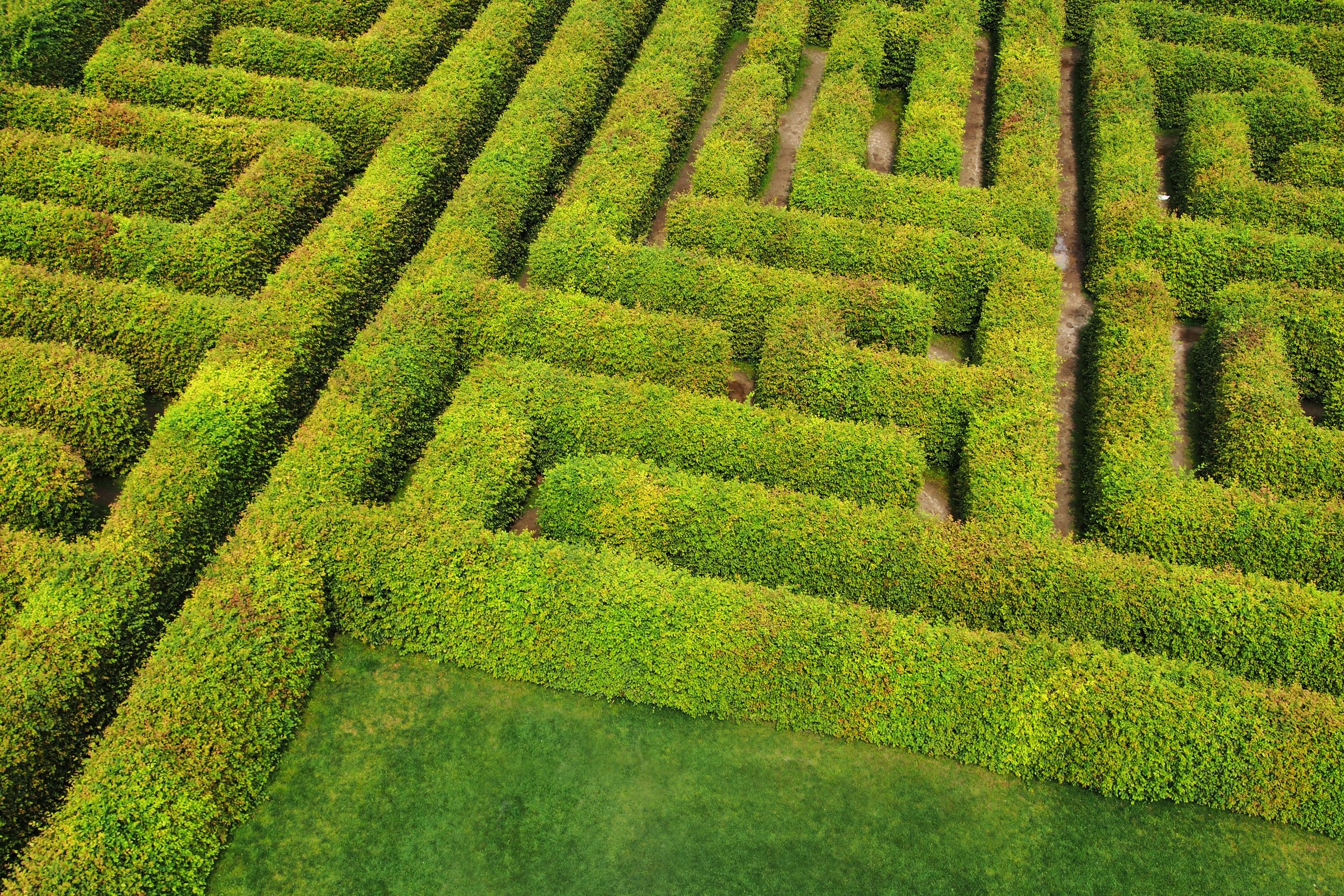 Human Centric Ecosystems